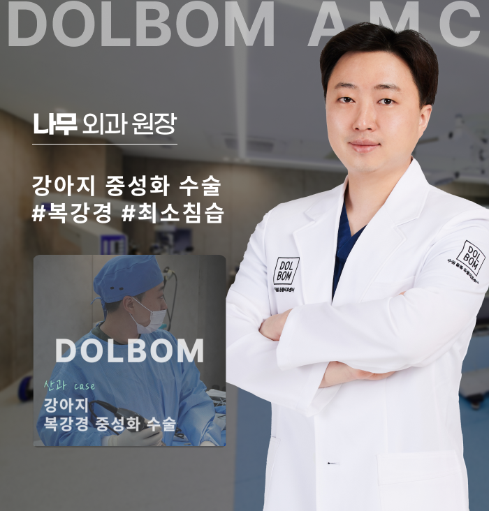 강아지 복강경 중성화 수술-thumbnail