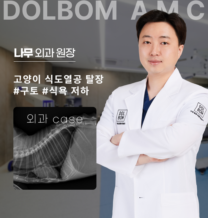 고양이 식도열공 탈장 수술 케이스-thumbnail