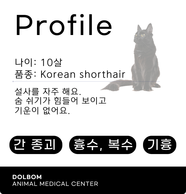 환자 프로파일
