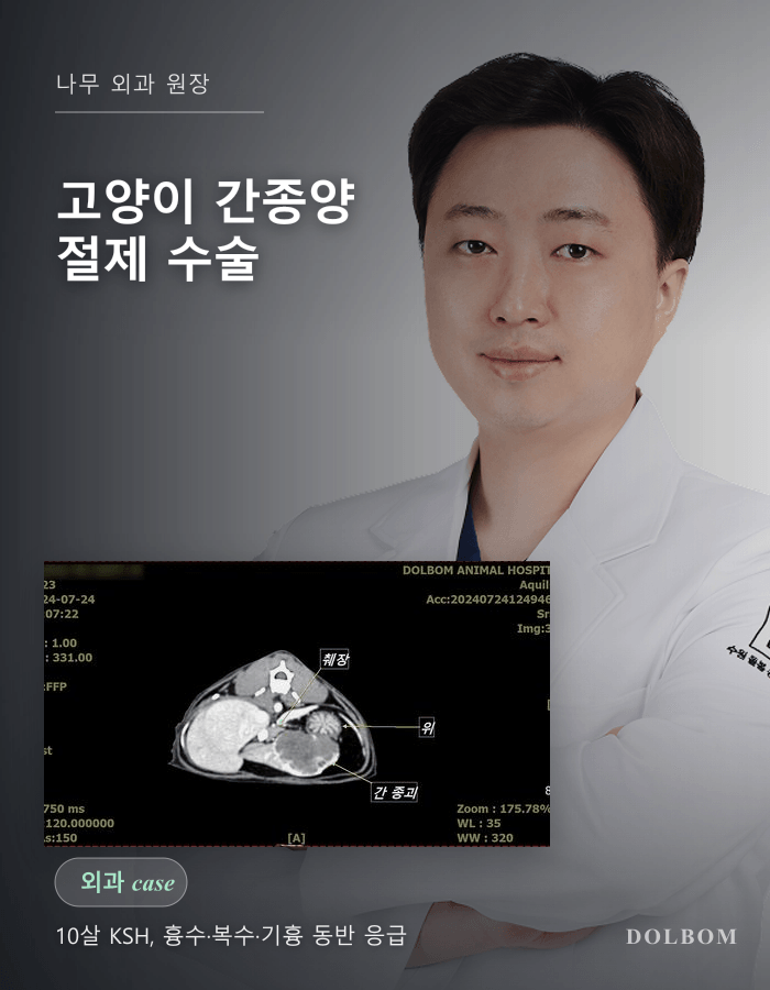 고양이 간종양 절제 수술 케이스 (흉수·복수·기흉 동반 응급 처치)-thumbnail
