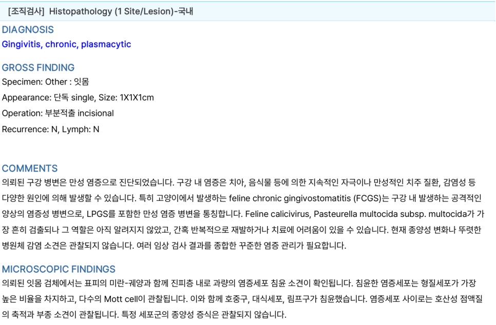 만성 형질세포성 치은염이 기재된 잇몸 조직검사 결과