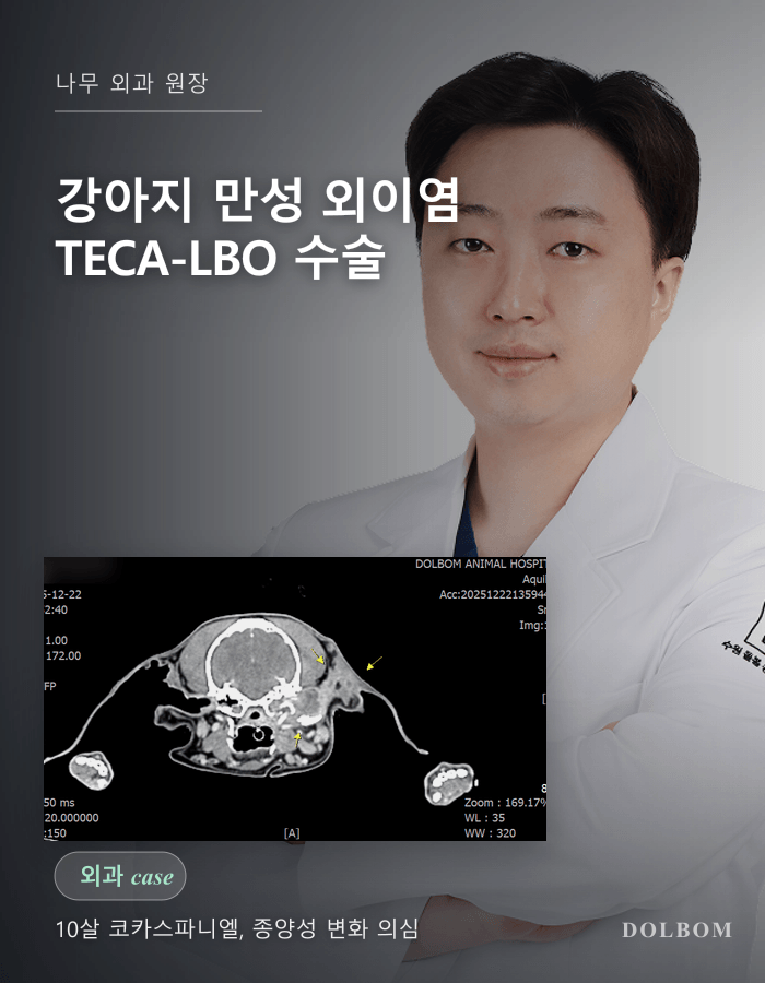 강아지 만성 외이염·중이염 TECA-LBO 수술 케이스 (전이도 적출술 + 외측 고실불룩 절제술)-thumbnail