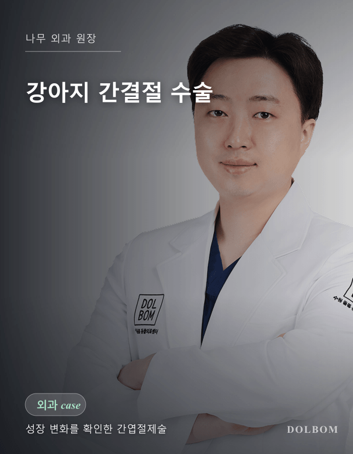 강아지 간결절, 커지는 변화를 확인하고 간엽절제술을 진행한 사례-thumbnail