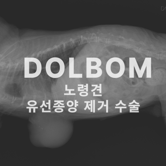 image 591.png