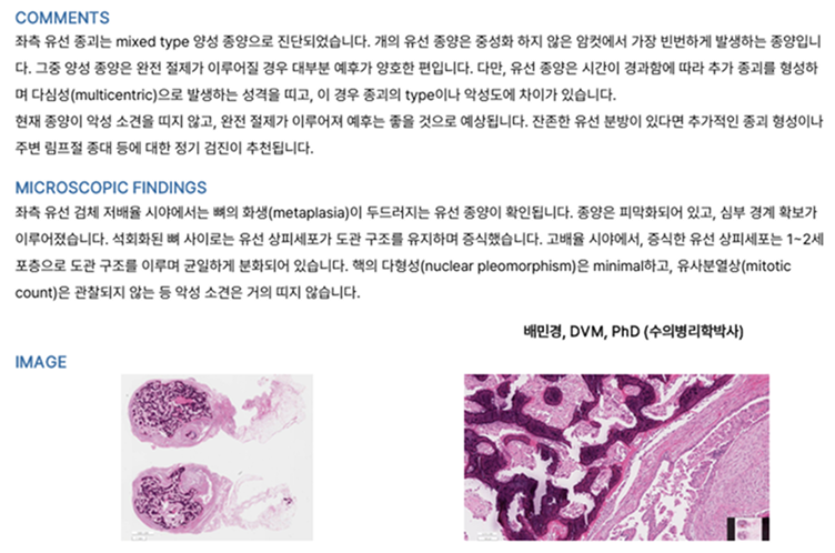 image 589.png