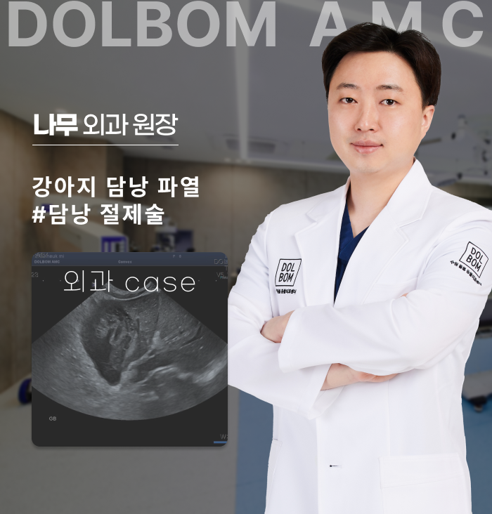 강아지 담낭 점액종, 담당 절제술 케이스-thumbnail