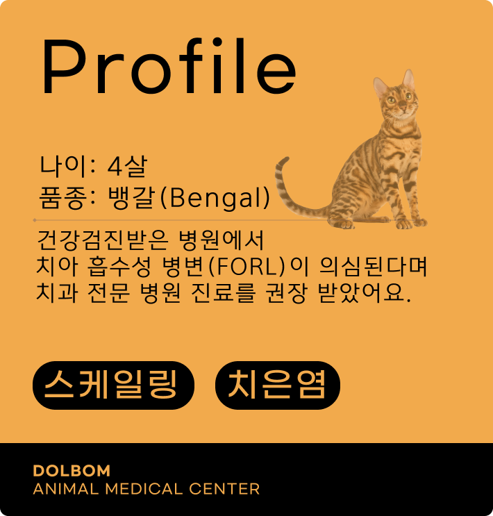 환자 프로파일