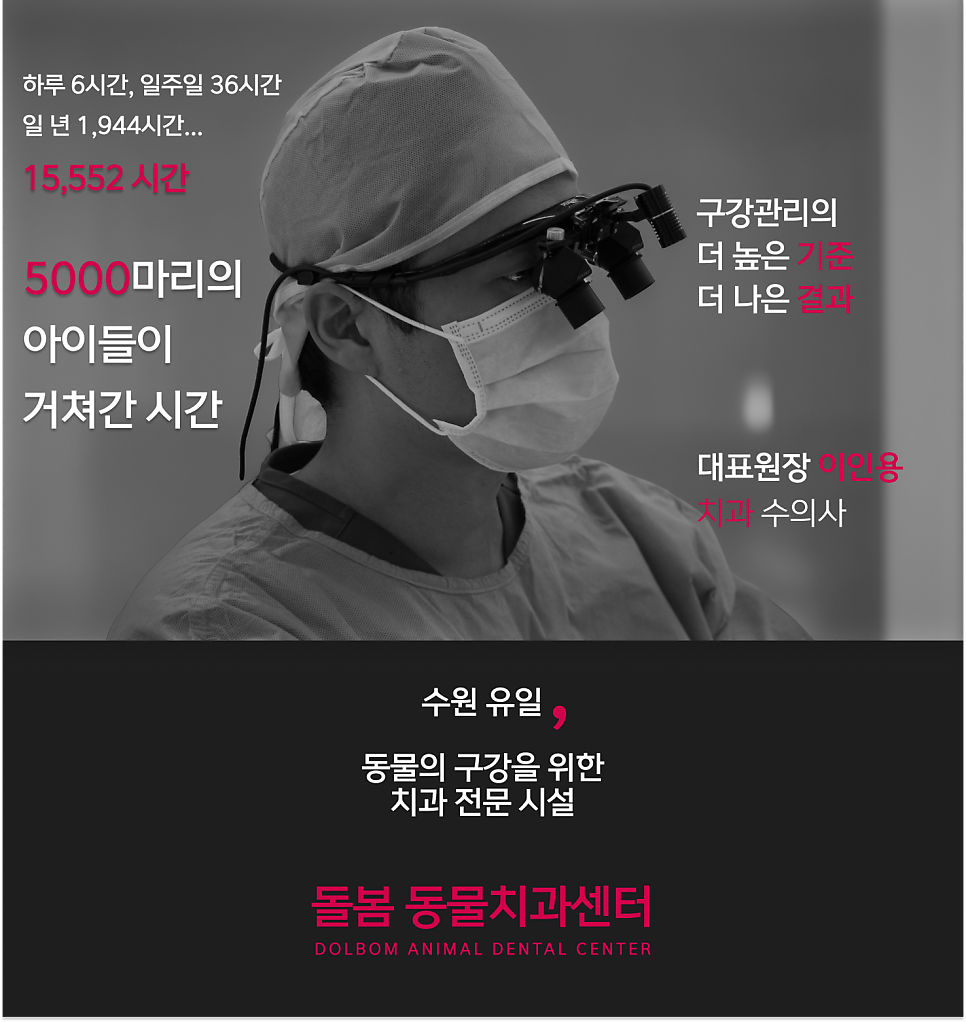 치과 차트 - PD periodontal pocket markings