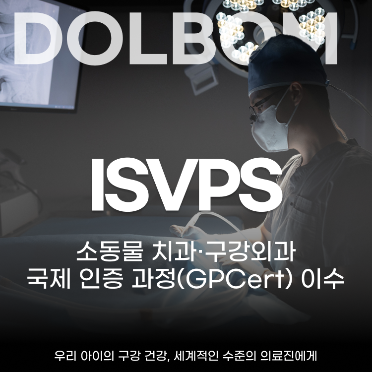 치과센터의 이인용 원장, ISVPS GPCert(SADen&OS) 취득-thumbnail