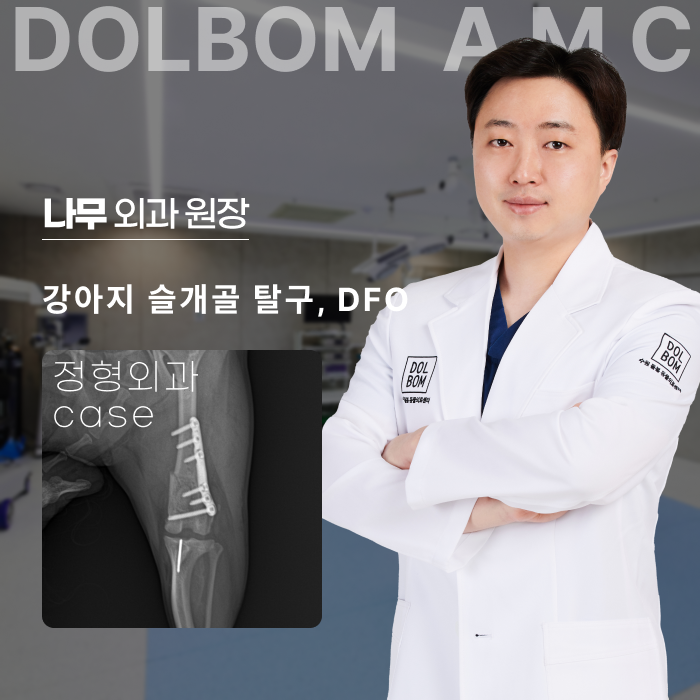 강아지 슬개골 탈구 DFO 교정 수술-thumbnail