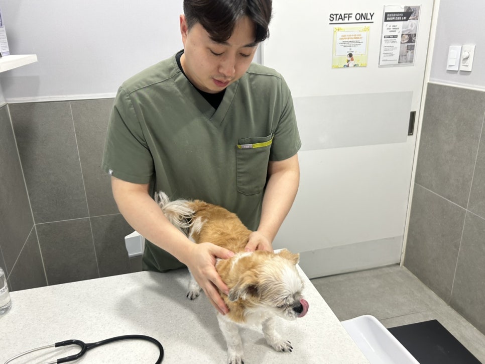 몸을 살피는 의료진