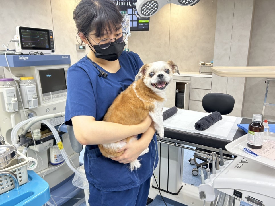 수술실의 환자와 의료진