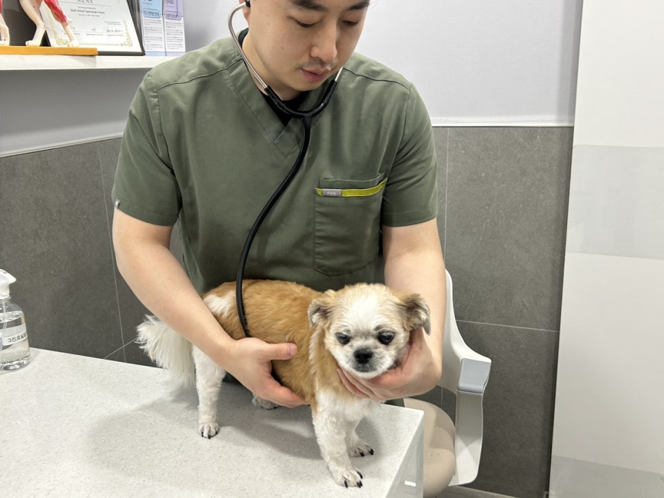 환자를 청진하는 의료진