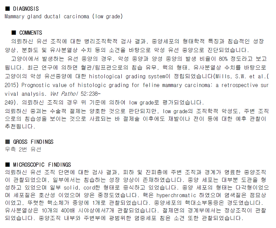 저등급 유선관 암종이 기재된 조직검사 결과지