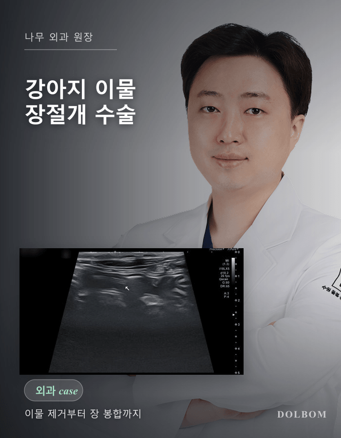 강아지 이물 섭취, 내시경에서 장절개 수술로 전환한 사례-thumbnail