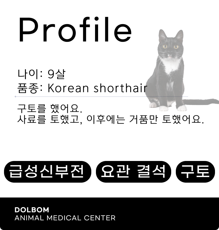 환자 프로파일 카드