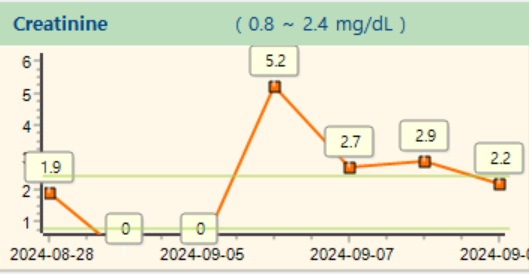 Creatinine 회복 그래프