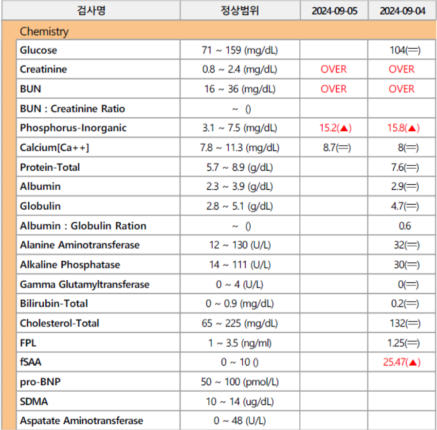 내원 당일 혈액 화학 검사