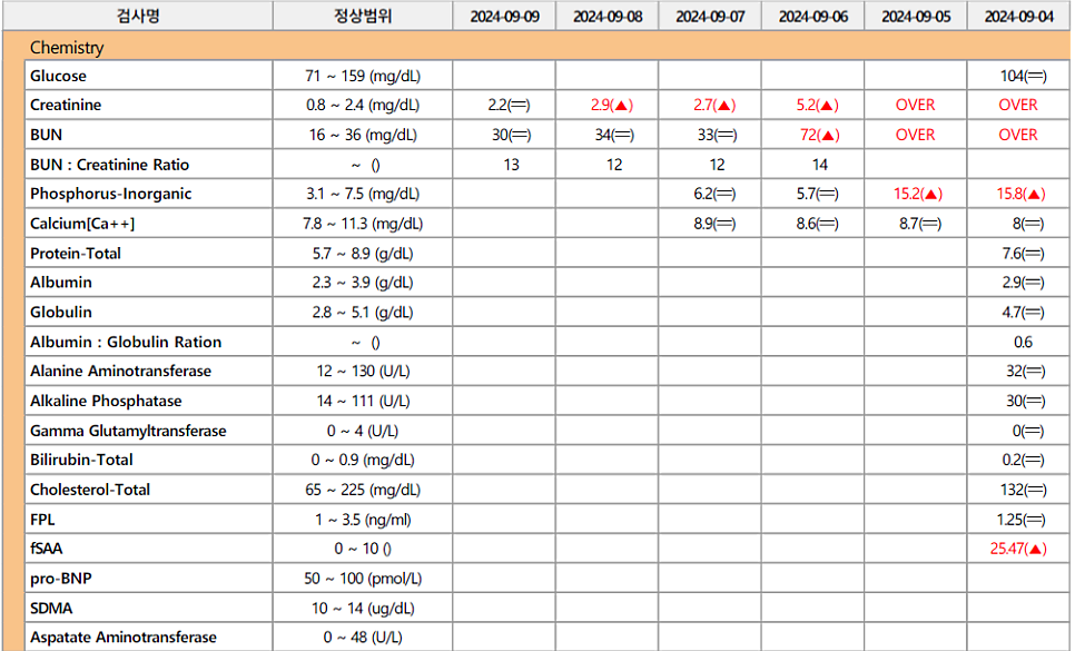 퇴원 시 혈액 화학 패널