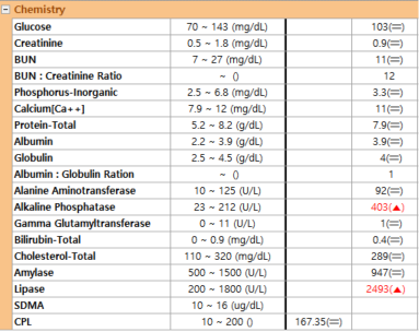 Chemistry 결과