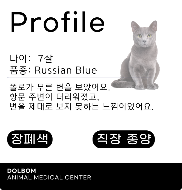 환자 프로파일