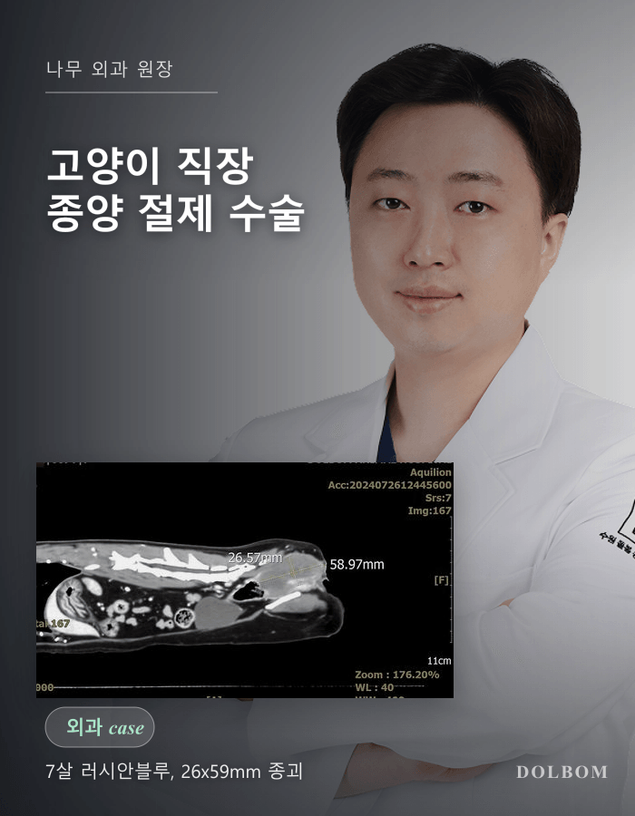 고양이 직장 종양 Pull-Through Resection 수술 케이스 (항문 보존 절제)-thumbnail