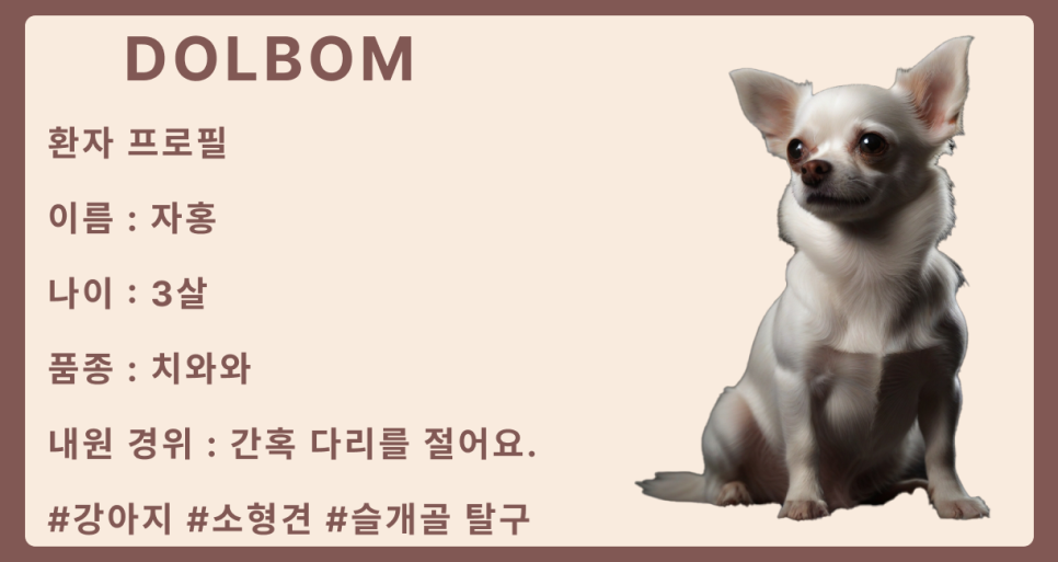 환자 프로파일
