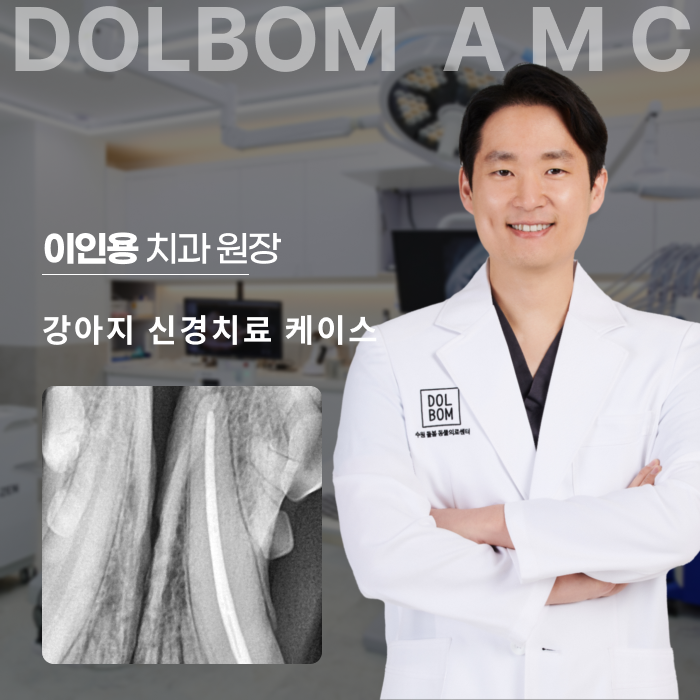 강아지 신경치료 케이스-thumbnail