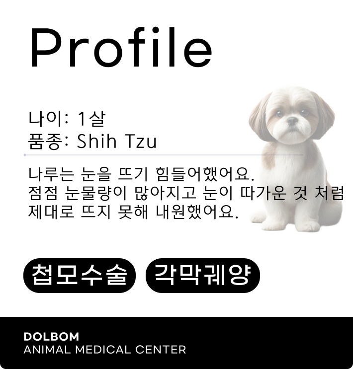 환자 프로파일