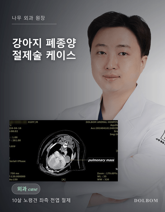 강아지 폐종양 절제술 — 정기 검진으로 조기에 발견된 케이스-thumbnail