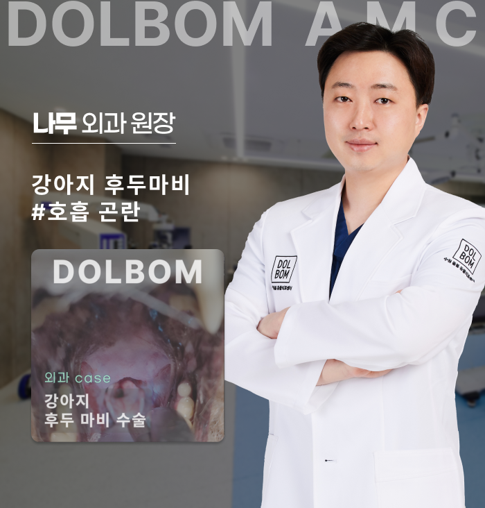 강아지 후두마비 수술 케이스-thumbnail