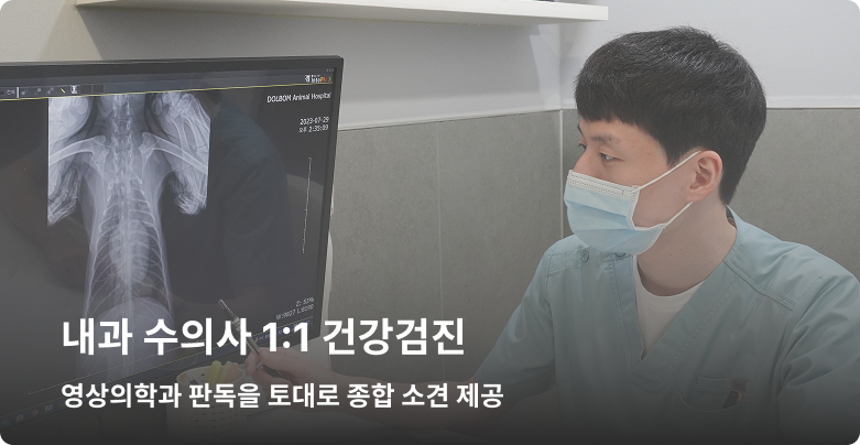 건강검진 상담 모습