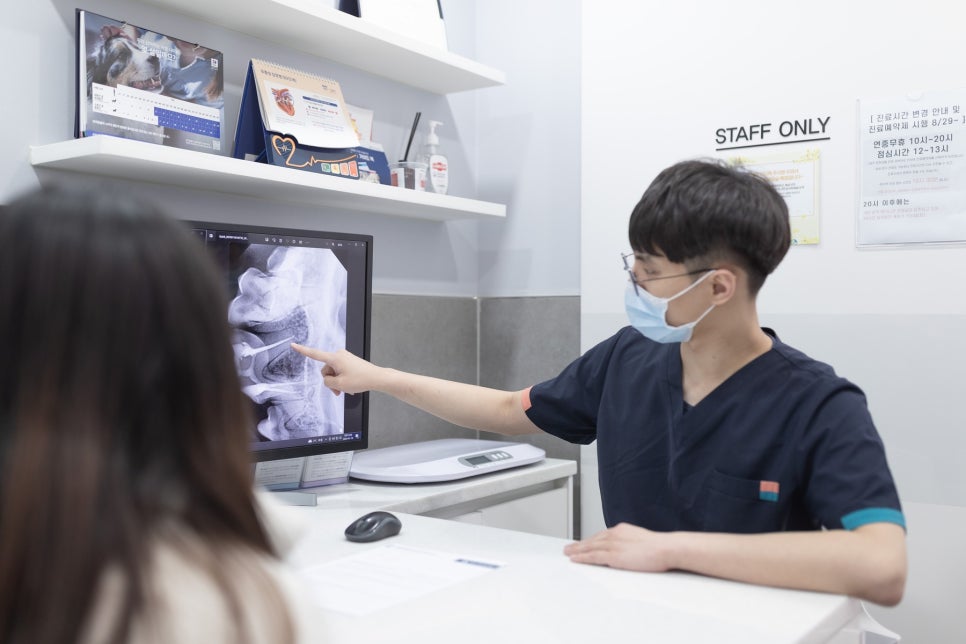 수의사가 모니터 영상의 한 부분을 보호자에게 설명하는 모습