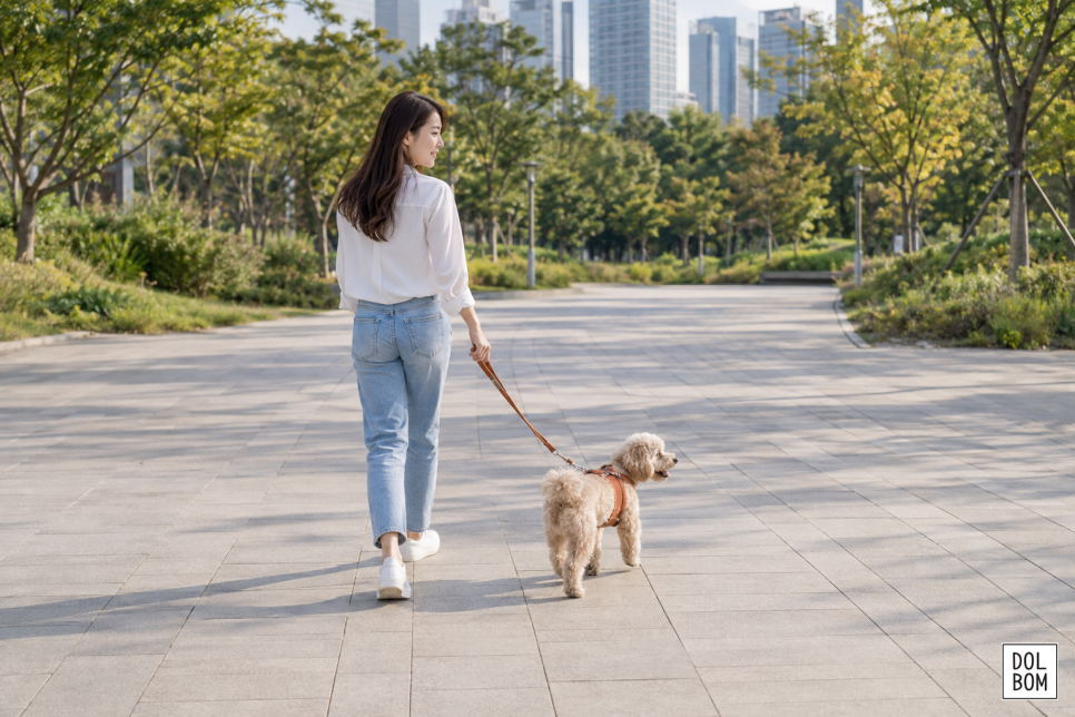 반려견과 줄을 연결하고 포장된 공원 산책로를 걷는 모습