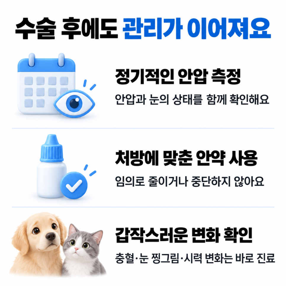 정기 안압 검사와 처방 점안, 눈 상태 관찰을 안내하는 관리 카드
