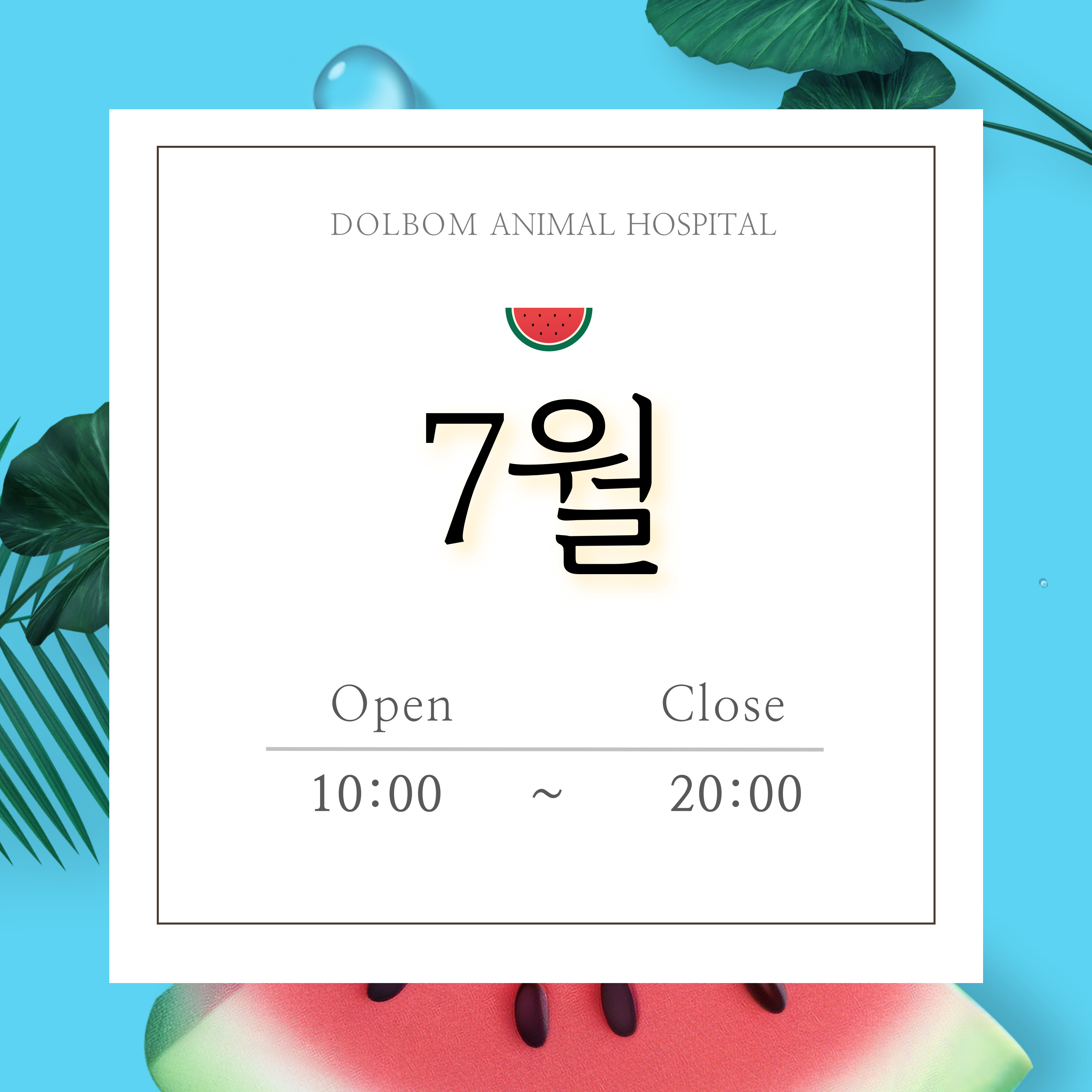 [돌봄 동물 병원] 7월 수의사 진료 일정 안내-thumbnail