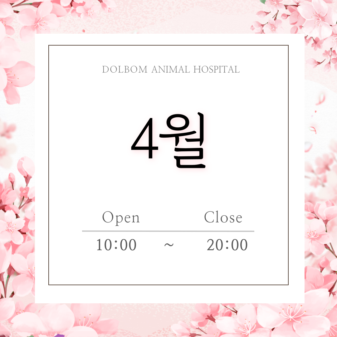 4월 진료일정-thumbnail