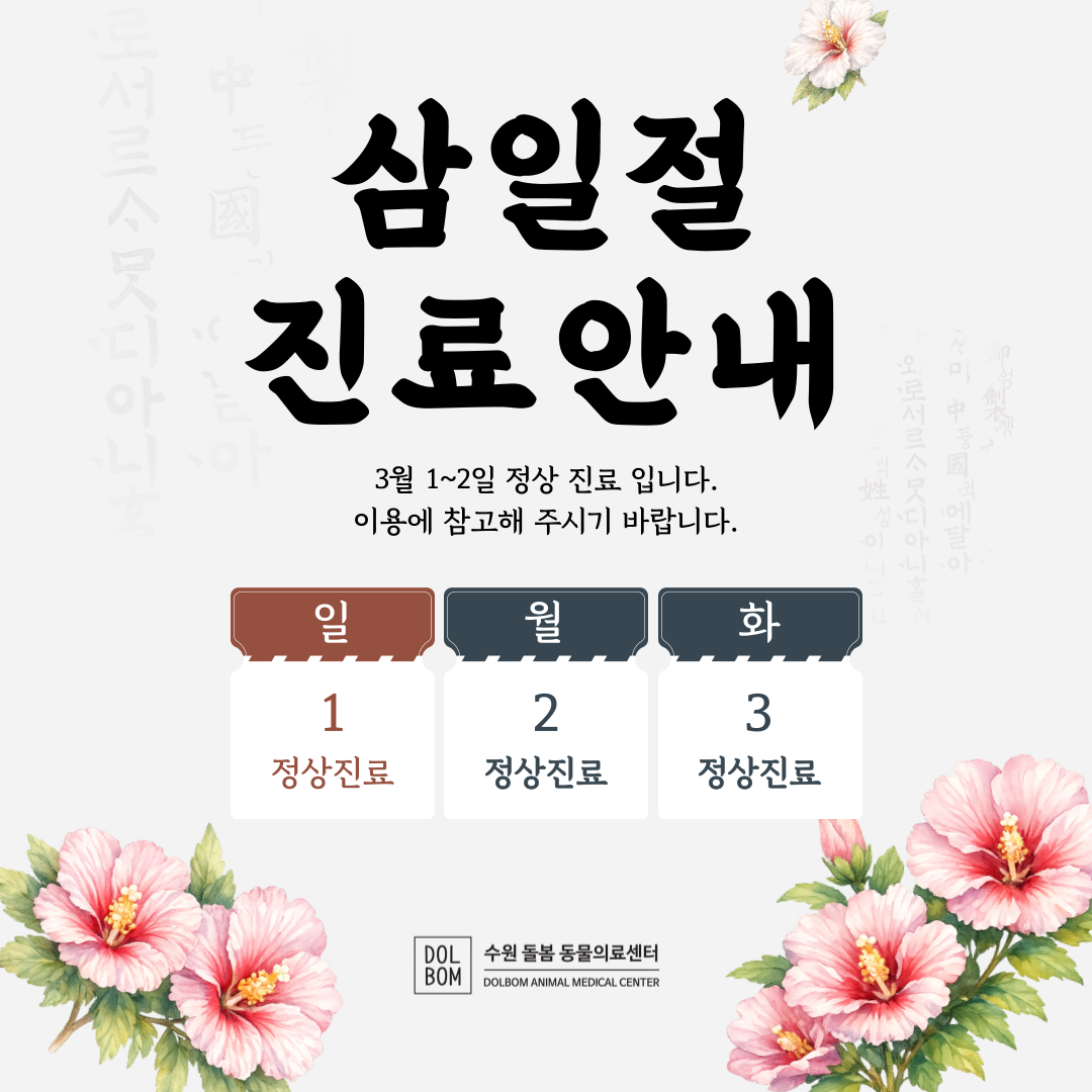 공휴일-001.png