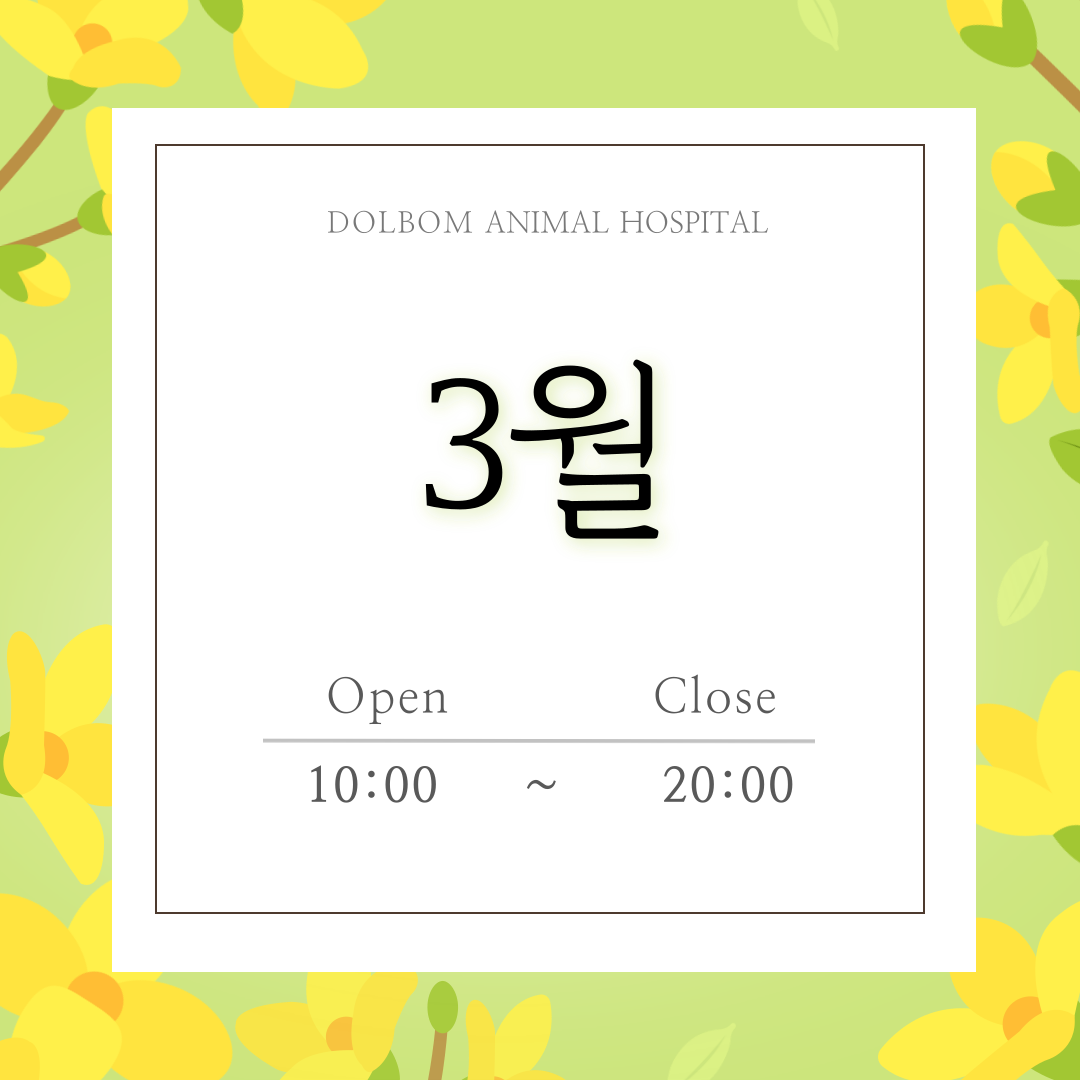 3월 진료일정-thumbnail