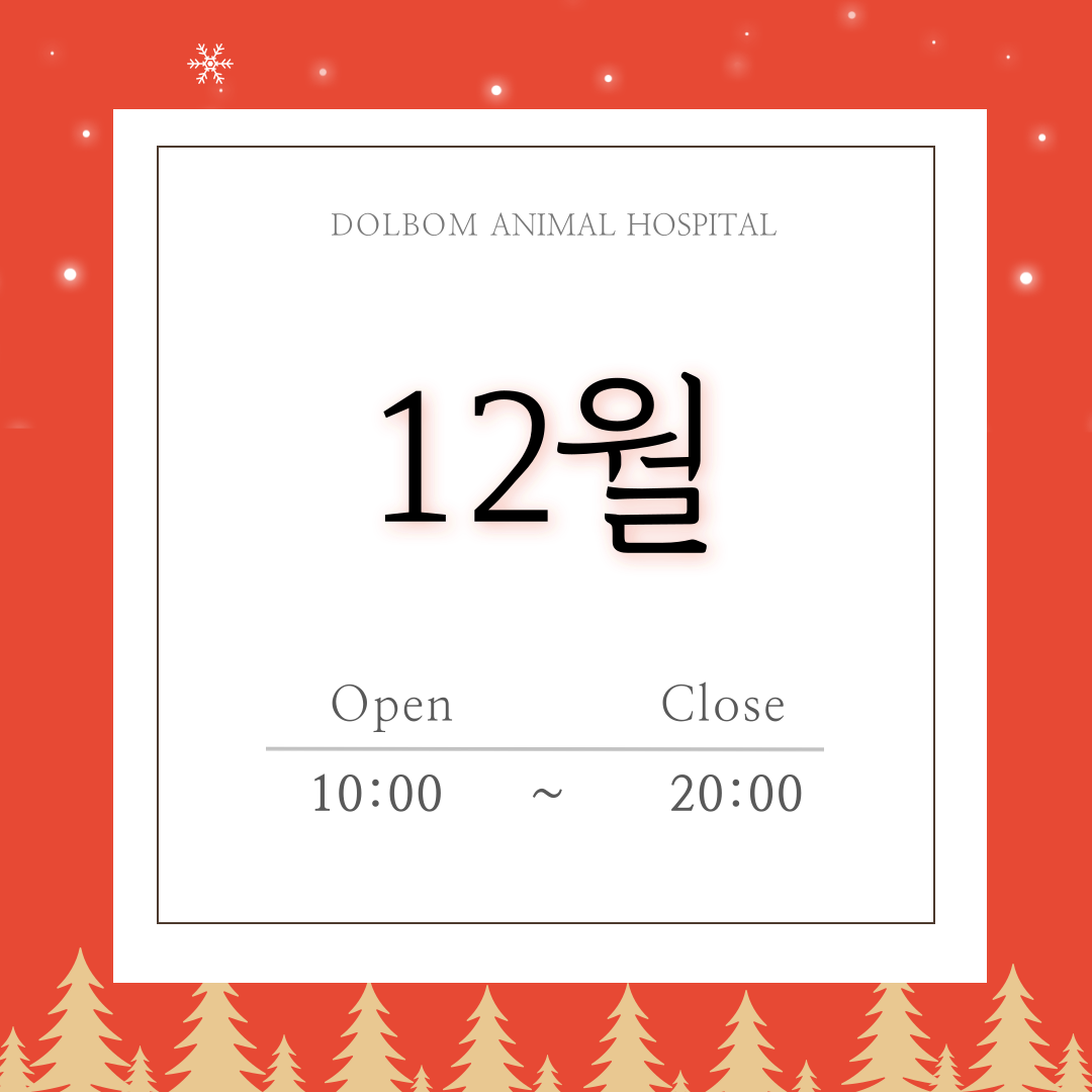 12월 진료일정-thumbnail