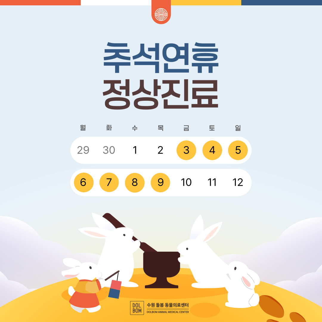 공휴일-001 (1).png
