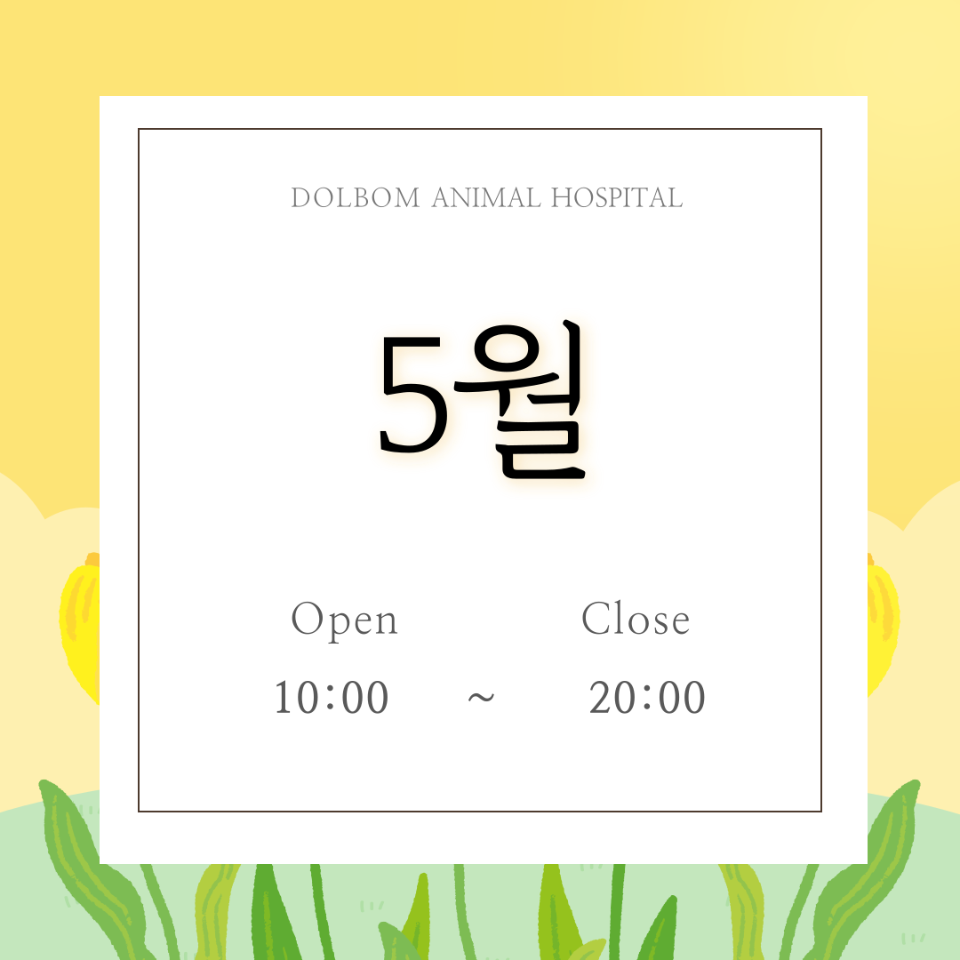 5월 진료일정-thumbnail