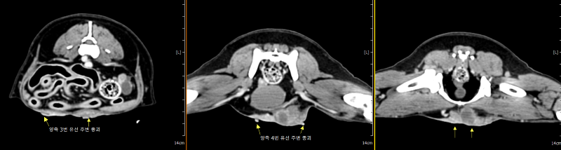 212896_174417_스크린샷 2025-07-21 171847.png