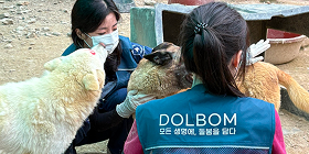 수원 돌봄동물의료센터|사람의 욕심으로
상처받은 아이들을 위해